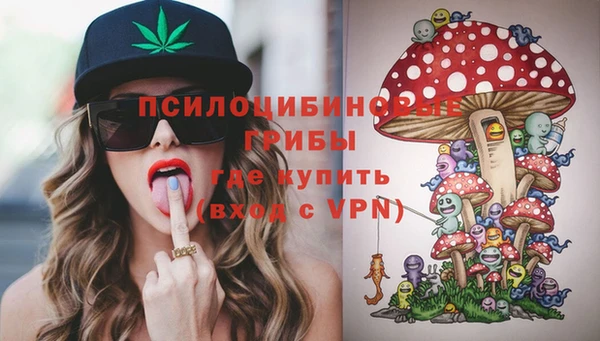 PSILOCYBIN Богородицк